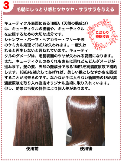 毛髪にしっとり感とツヤツヤ・サラサラを与える